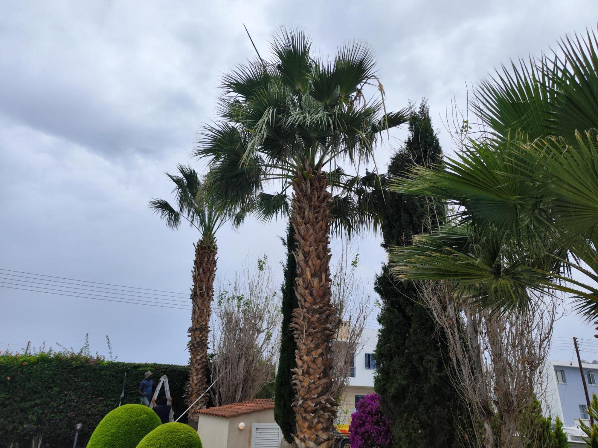 Sunset Green 03 Paphos Exterior photo